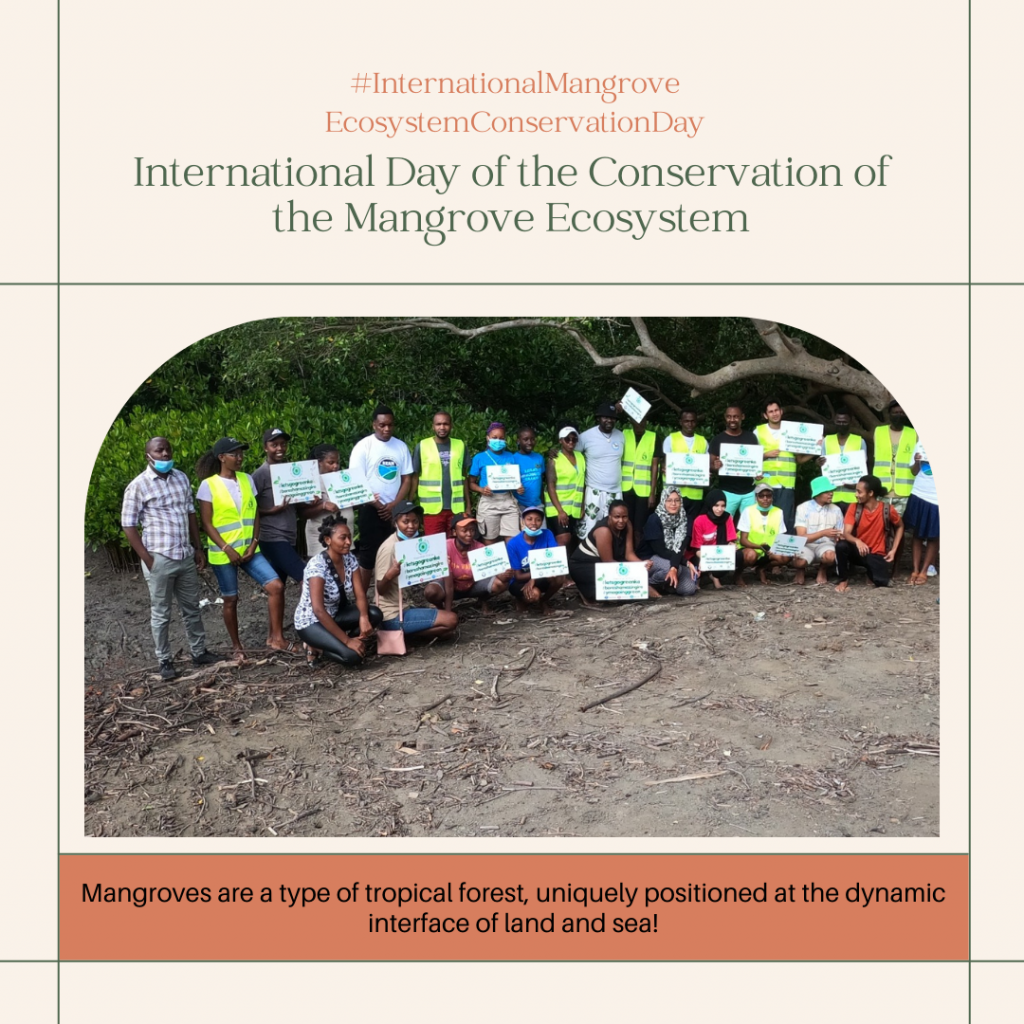 International Day of the Conservation of the Mangrove Ecosystem