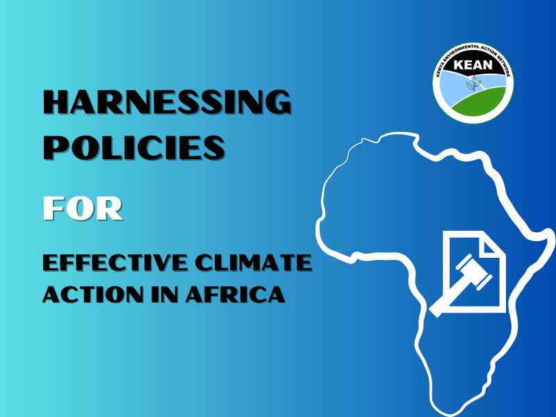 Harnessing Policies for Effective Climate Action in Africa