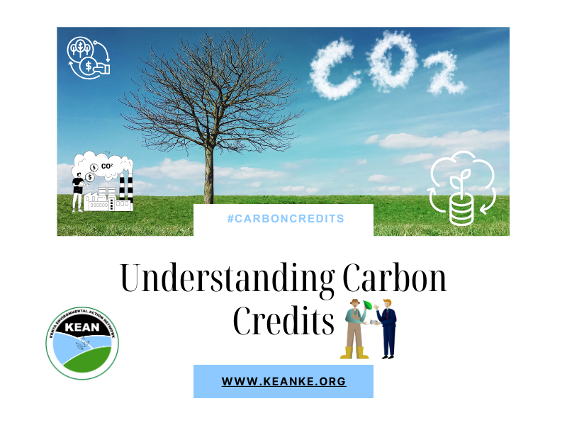 Understanding Carbon Credits