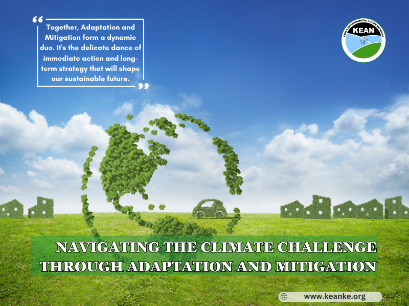 Navigating the Climate Challenge through Adaptation and Mitigation