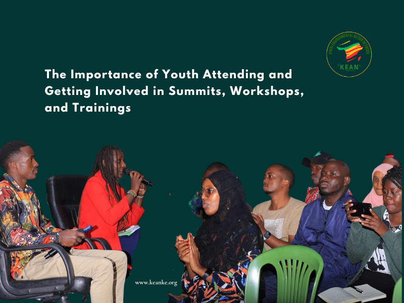 The Importance of Youth Attending and Getting Involved in Summits, Workshops, and Trainings