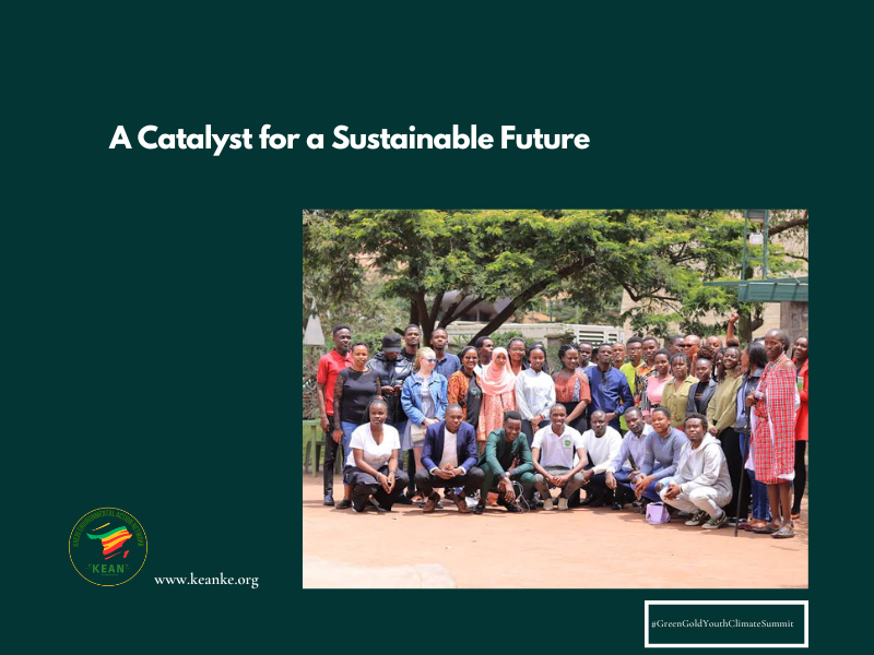 A Catalyst for a Sustainable Future