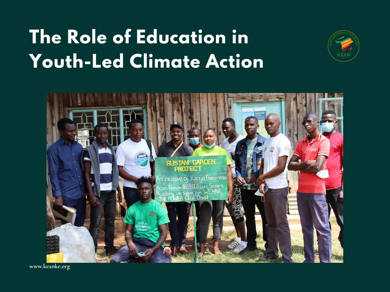 The Role of Education in Youth-Led Climate Action