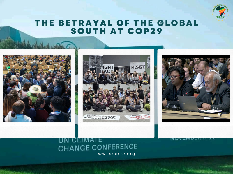 The Betrayal of the Global South at COP29