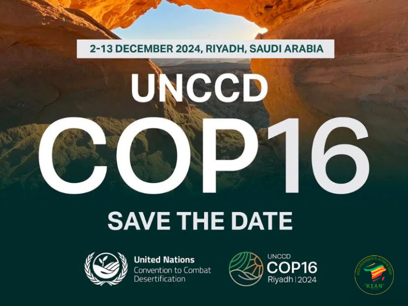 🌍✨ What is COP16? ✨🌍